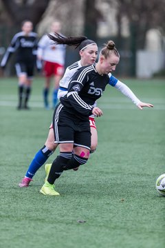 Bild 39 - wBJ HSV - F VfL Jesteburg : Ergebnis: 6:1